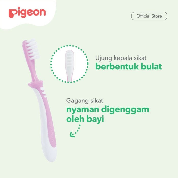 PIGEON TRAINING TOOTHBRUSH LESSON 3 sikat gigi anak