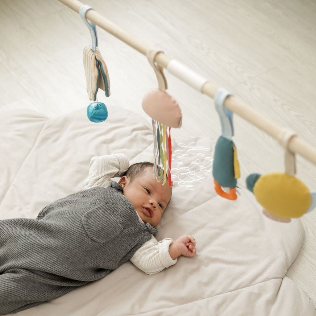 Learning Time Sensory Pads Tummy Time Series - 4 Mainan Gantung Stimulasi Sensorik Bayi Usia 1-9 Bulan