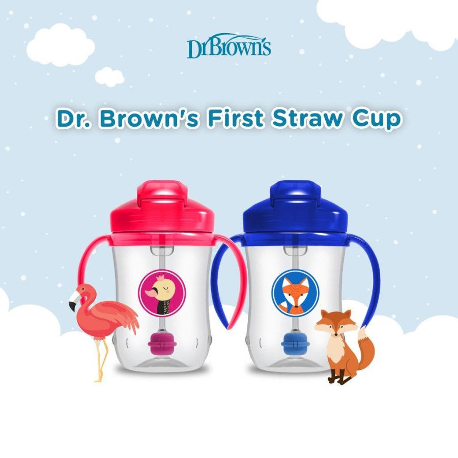 Dr.Brown's Baby First Straw Cup / cups anak / Botol Minum Anak 9oz