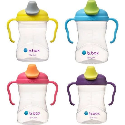 BBox B Box Spout Cup Fruit Edition Botol Minum Anak