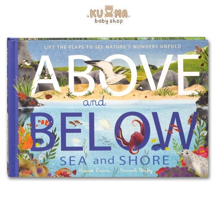 [Little Tiger] Above and Below Sea and Shore Book (Hardcover) - Lift the Flaps to See Nature's Wonders Unfold