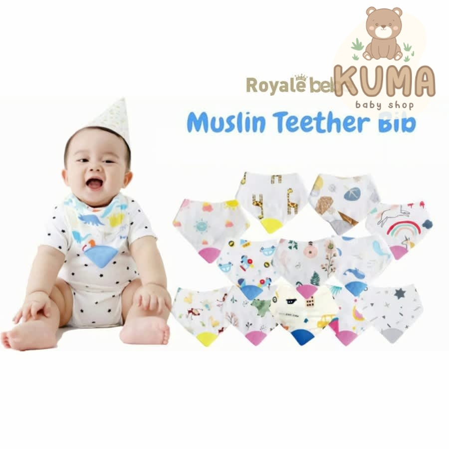 RoyalBebe Teether Bib