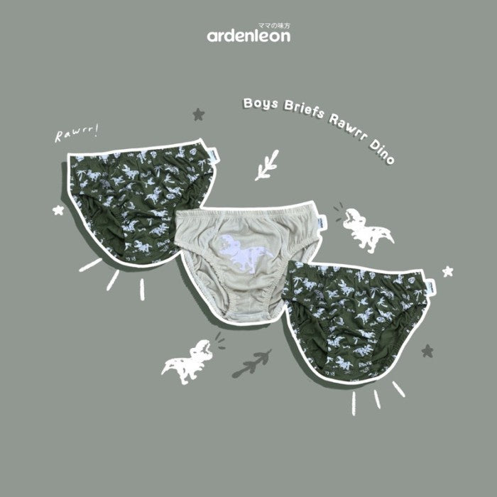 ARDENLEON Boys Briefs (3 pcs) Celana Dalam Anak laki laki