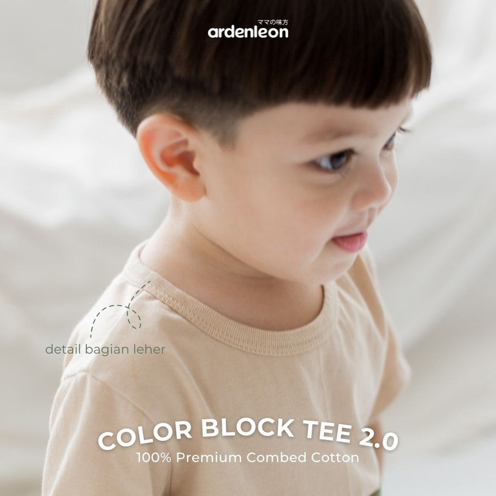 ARDENLEON Atasan Kaos Anak Color Block Tee 2.0