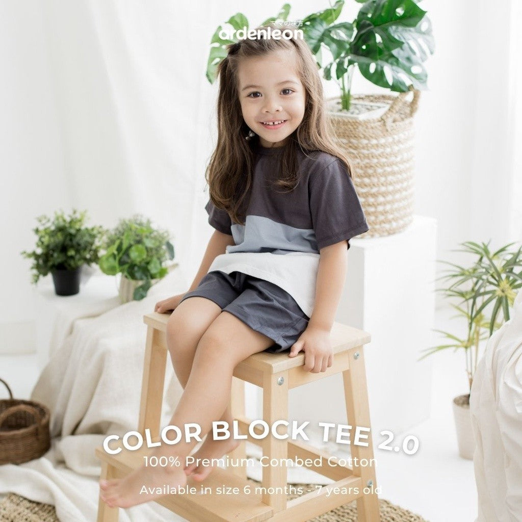 ARDENLEON Atasan Kaos Anak Color Block Tee 2.0