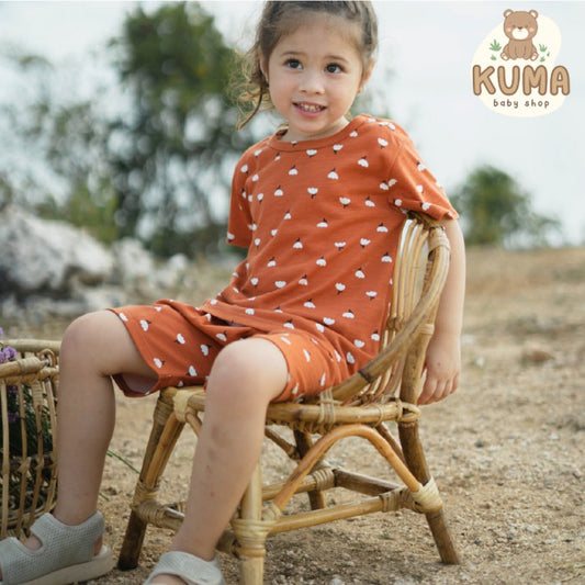 Little Palmerhaus - Little Wear Shoulder Button Short Set 18.0