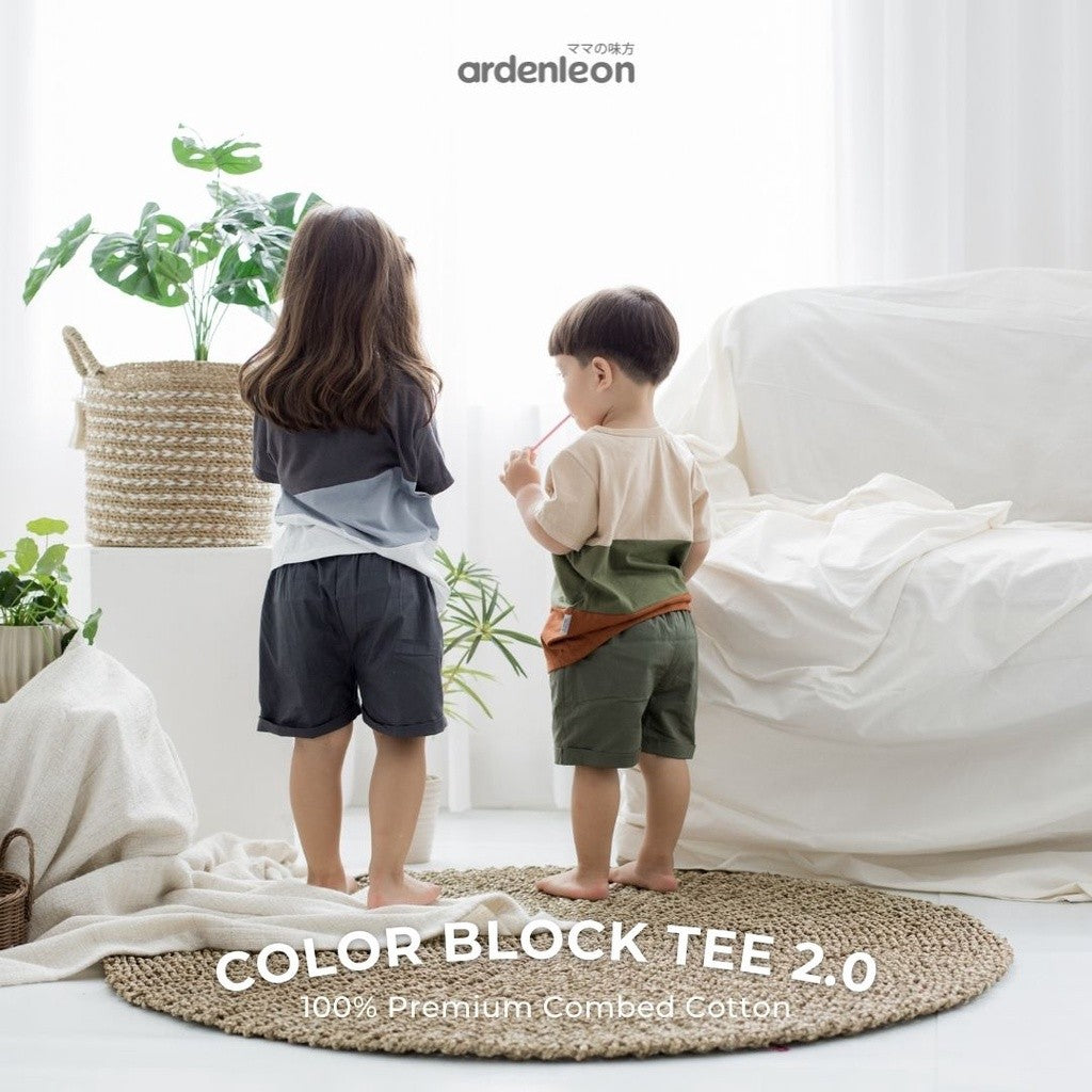 ARDENLEON Atasan Kaos Anak Color Block Tee 2.0