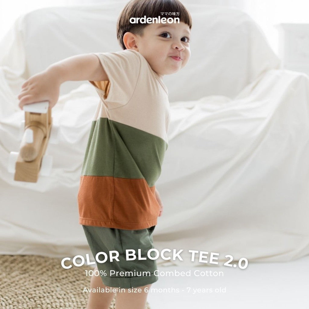 ARDENLEON Atasan Kaos Anak Color Block Tee 2.0