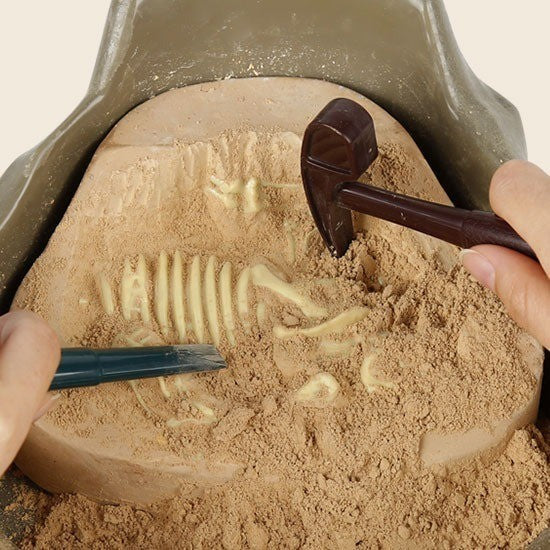 Sciencecan Fossil T-Rex Kit Mainan Edukasi Fosil Dinosaurus