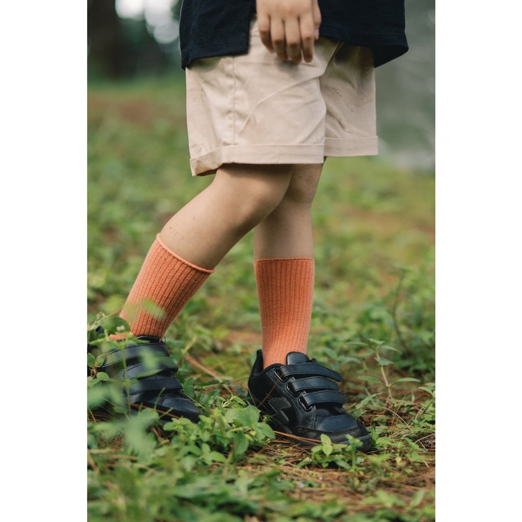BOHOPANNA - CHINOS BOBBY PANT - Celana Anak Laki-Laki - Celana Chinos Anak 225