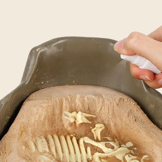 Sciencecan Fossil T-Rex Kit Mainan Edukasi Fosil Dinosaurus