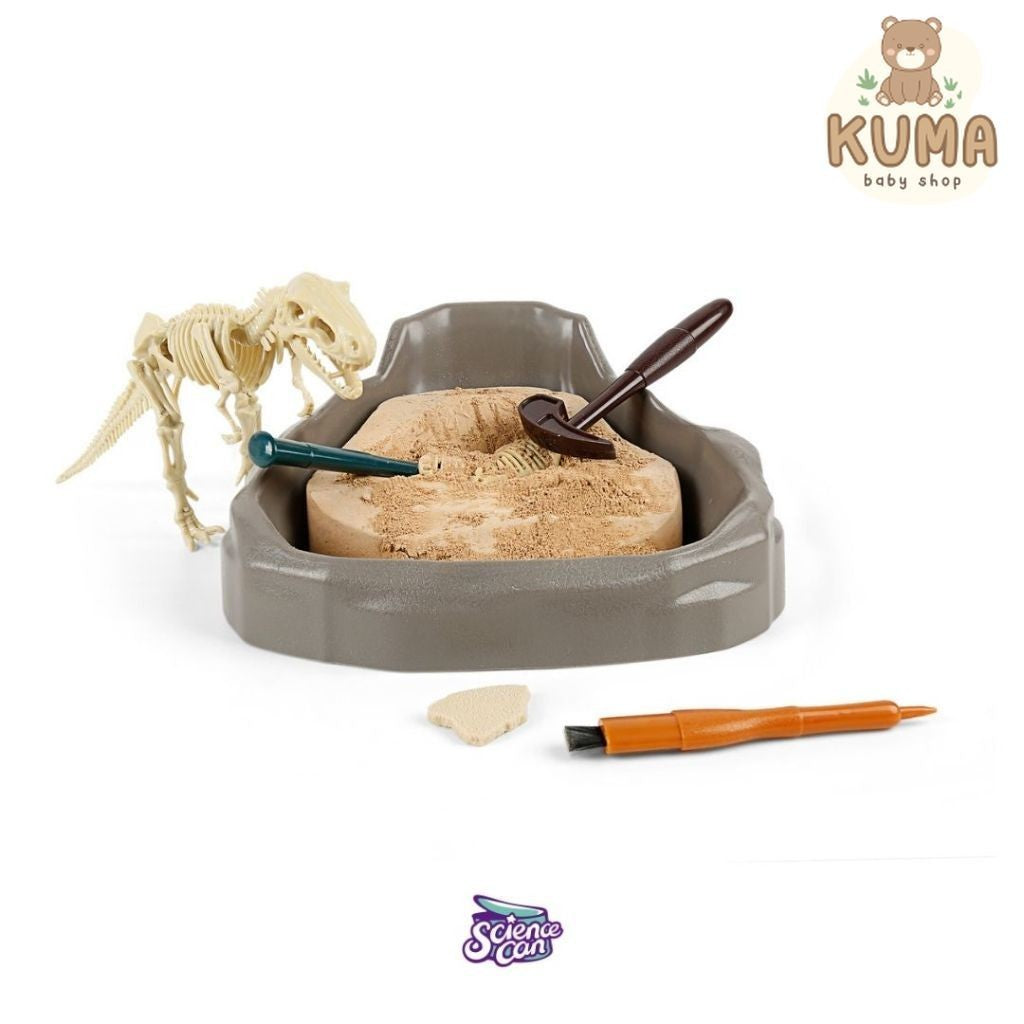 Sciencecan Fossil T-Rex Kit Mainan Edukasi Fosil Dinosaurus