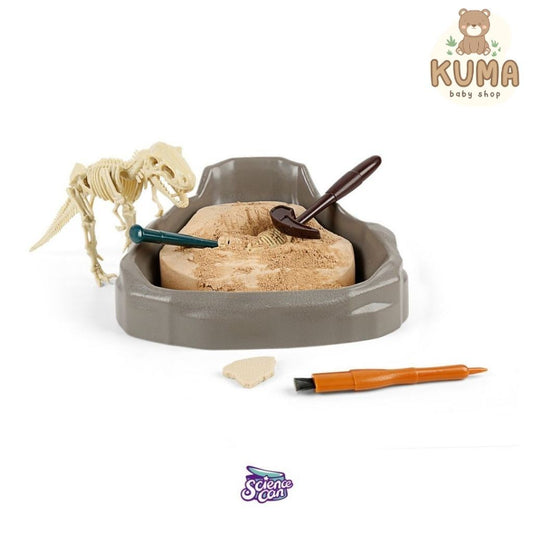 Sciencecan Fossil T-Rex Kit Mainan Edukasi Fosil Dinosaurus