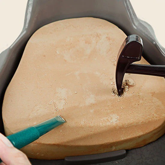 Sciencecan Fossil T-Rex Kit Mainan Edukasi Fosil Dinosaurus