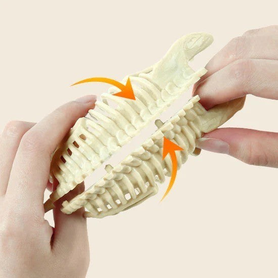 Sciencecan Fossil T-Rex Kit Mainan Edukasi Fosil Dinosaurus