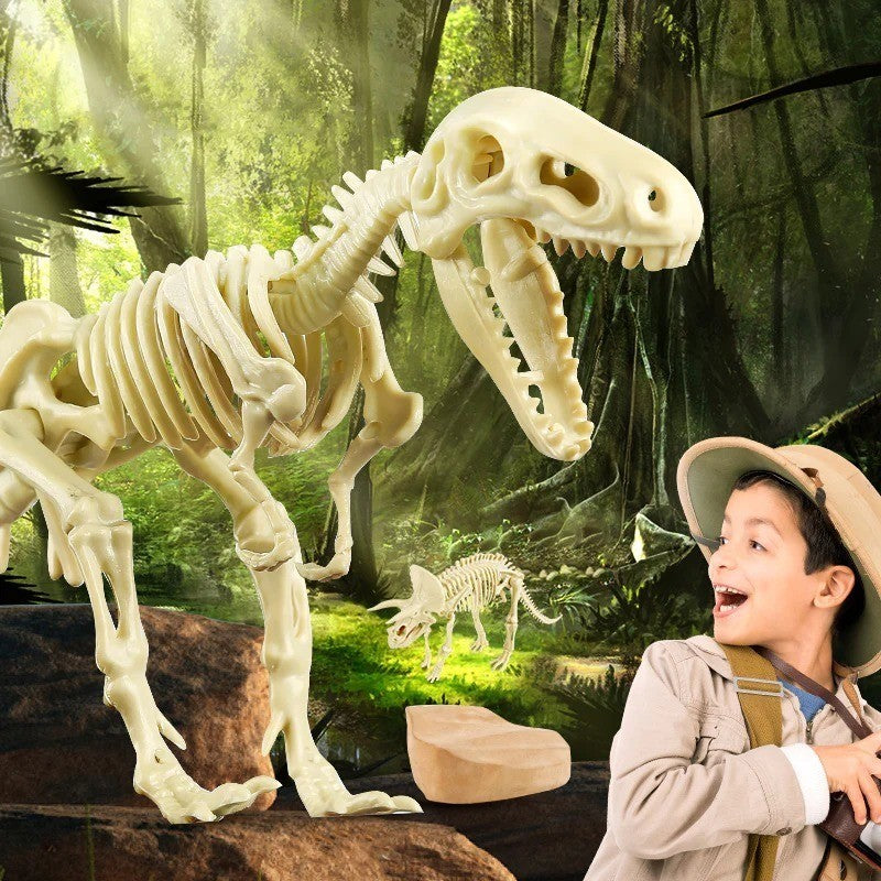 Sciencecan Fossil T-Rex Kit Mainan Edukasi Fosil Dinosaurus
