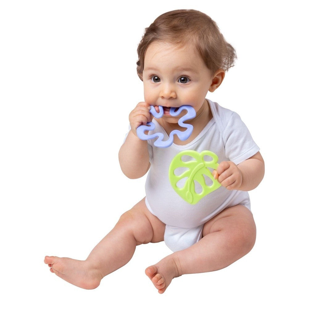 Playgro In My Garden Nature Teether -  Mainan Teether Anak