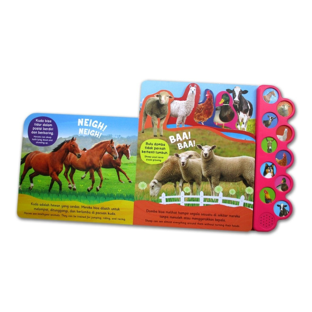 Buku Bersuara Hewan Peternakan & Alam Liar 10 tombol suara hewan - Animals Sound Book [GinukGinuk]