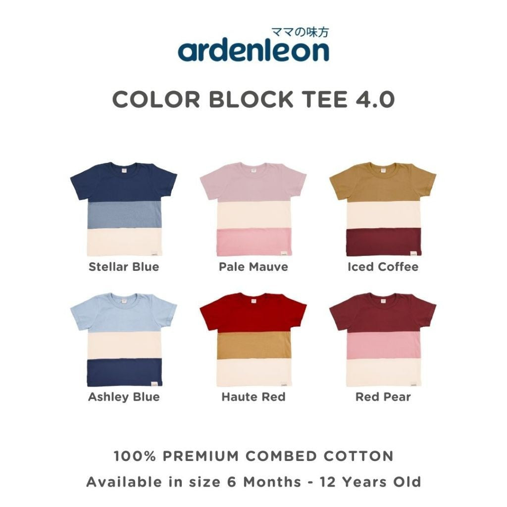 ARDENLEON Atasan Kaos Anak Color Block Tee 4.0 6 Bulan - 12 Tahun
