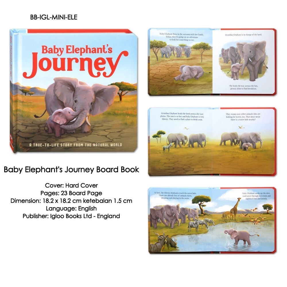 Forever Love/Penguin's Perfect Pebble/Baby Elephant's Journey Board Book