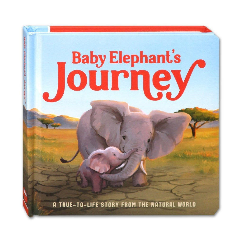 Forever Love/Penguin's Perfect Pebble/Baby Elephant's Journey Board Book