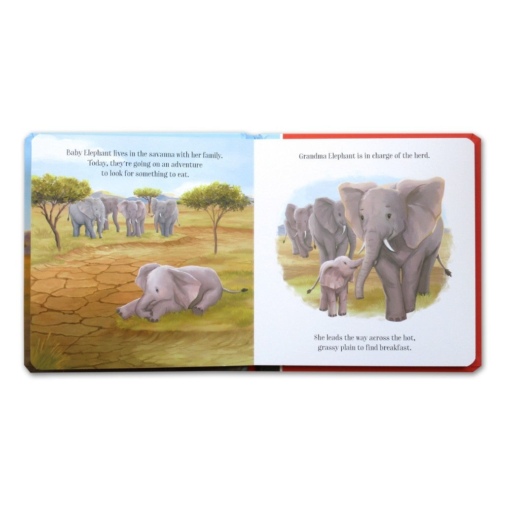 Forever Love/Penguin's Perfect Pebble/Baby Elephant's Journey Board Book