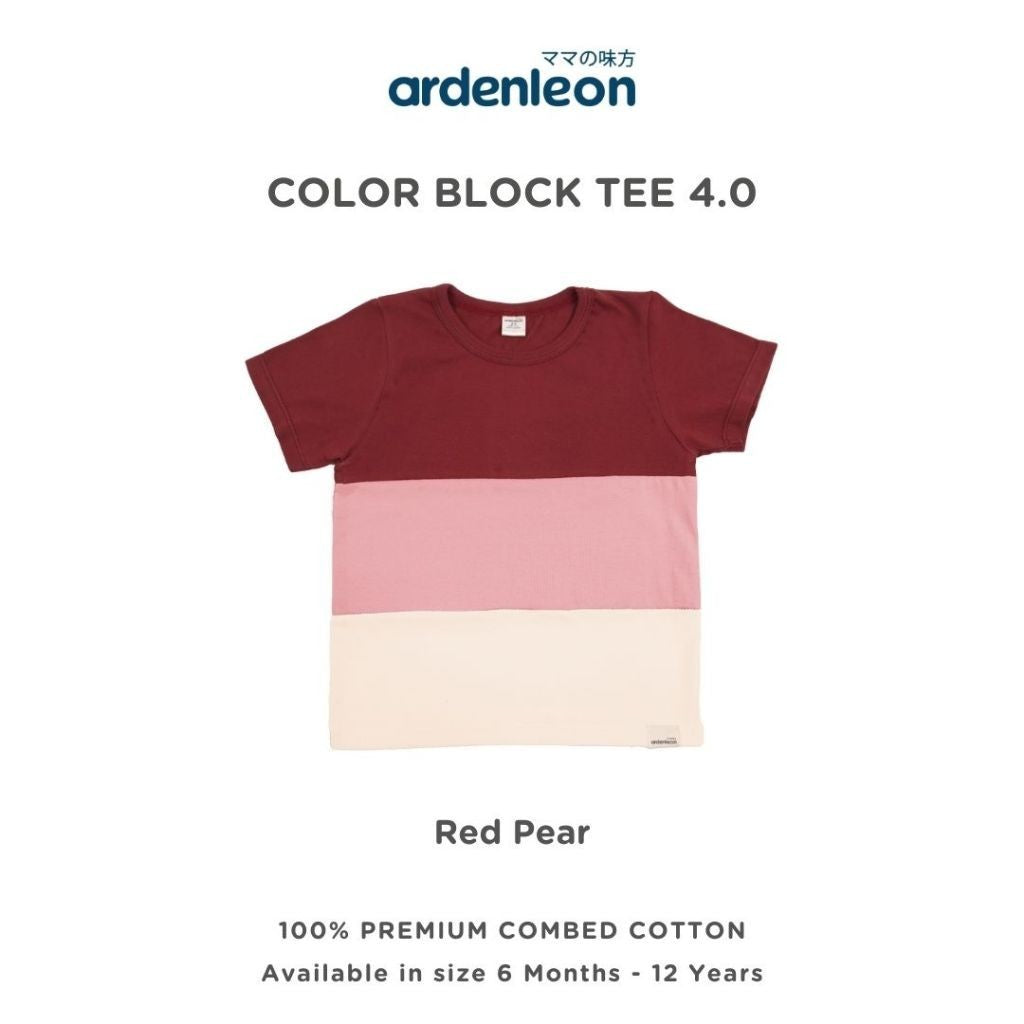 ARDENLEON Atasan Kaos Anak Color Block Tee 4.0 6 Bulan - 12 Tahun