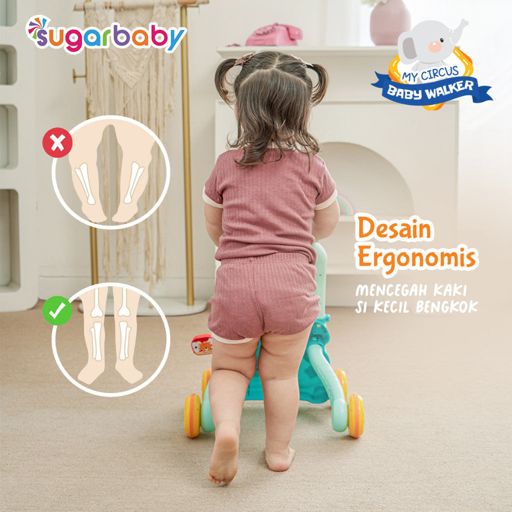 Sugar Baby My Circus Push Walker (Baby Walker)/ Mainan Dorong Bayi/Sugar Baby Mini Car Walker