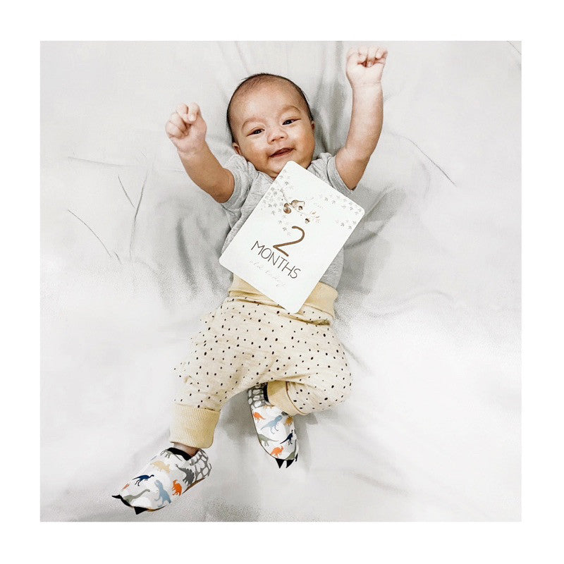 Little Dino Mini Shoes | Sepatu Bayi Prewalker